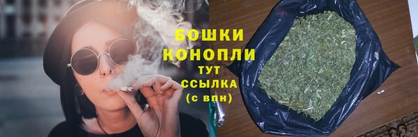соль ск Осинники