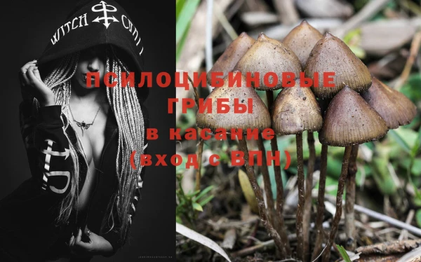 соль ск Осинники