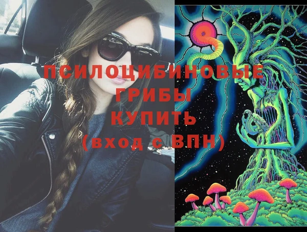 винт Осташков