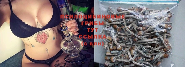 соль ск Осинники