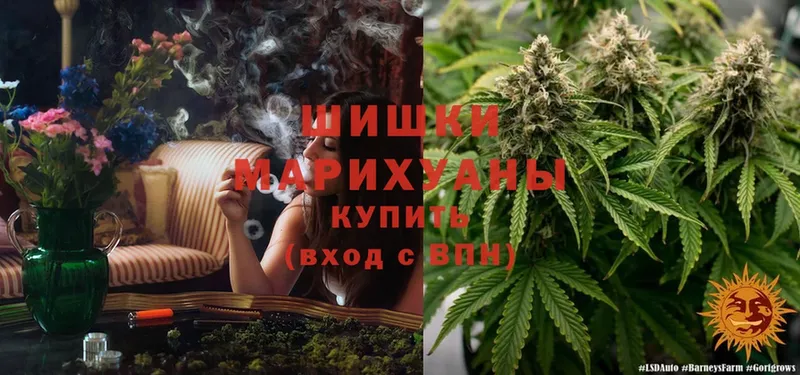 Бошки марихуана THC 21%  где купить наркотик  Кириллов 